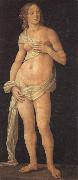 LORENZO DI CREDI Venus oil painting reproduction